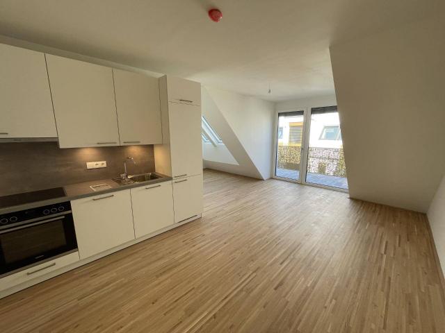 Apartment kaufen in Donaustadt, Wien