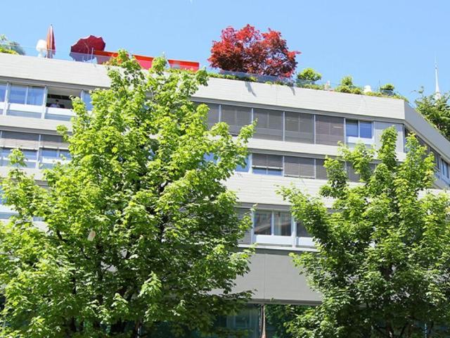 Büro kaufen in Cheseaux-Lausanne, Waadt