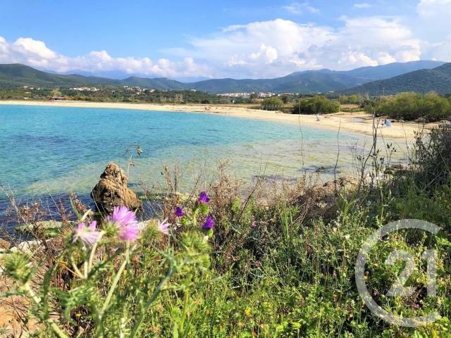 Appartement vente à Calvi, Palasca