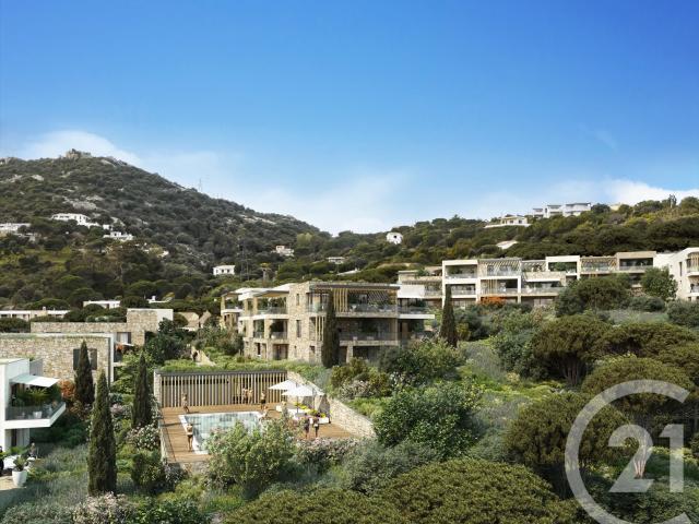 Appartement vente à Calvi
