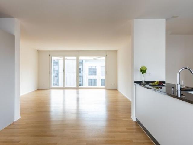 Apartment mieten in Frauenfeld, Thurgau