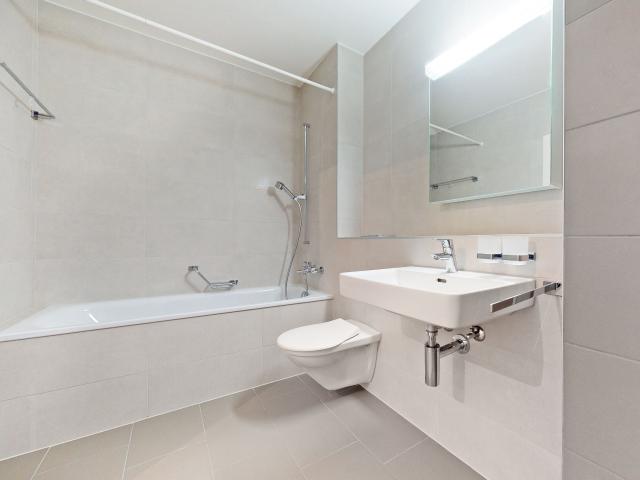 Apartment kaufen in Fribourg