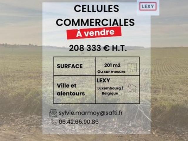 Local Commercial vente à Val-de-Briey, Lexy