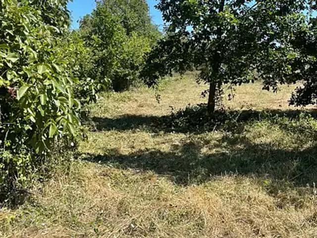 Terrain vente à La Petite Chaussée, Voulême