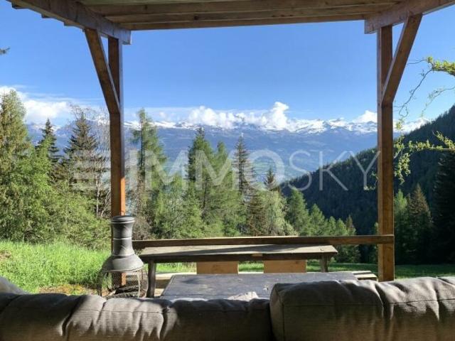 Haus kaufen in Mont-Noble, Wallis