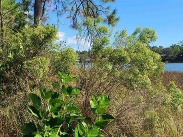 Land for sale in Milton, Florida