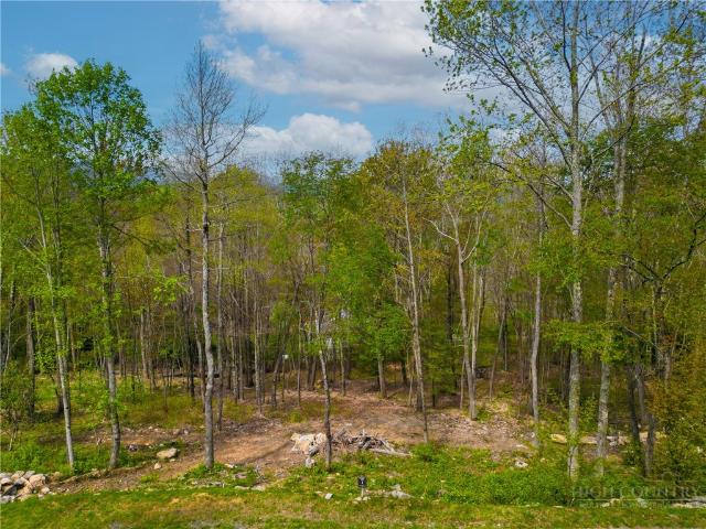 Land for sale in Elk Park, Avery County