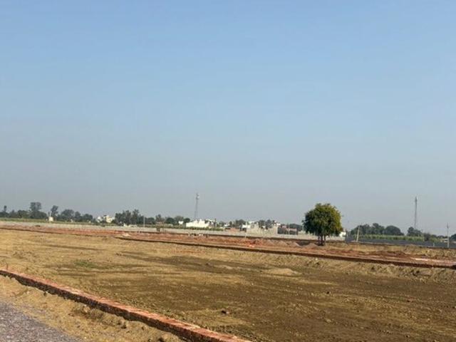 Land for sale in Jharli, Arunachal Pradesh
