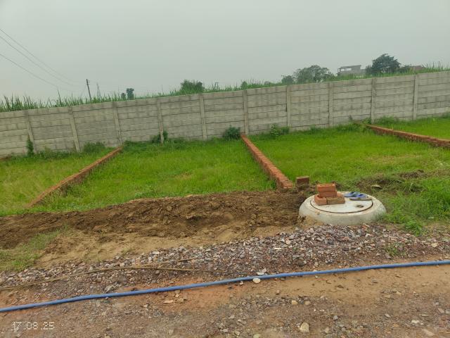 Land for sale in Jharli, Arunachal Pradesh