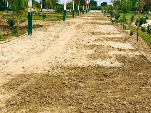 Land for sale in Jharli, Arunachal Pradesh