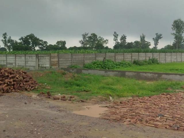 Land for sale in Jharli, Arunachal Pradesh