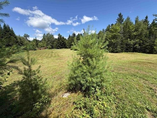 Land for sale in Hyde Park Village, Hyde Park