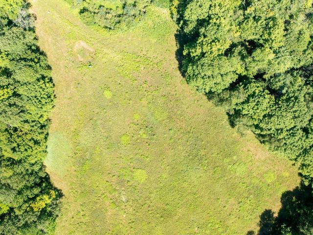 Property for sale in Bennington, Vermont