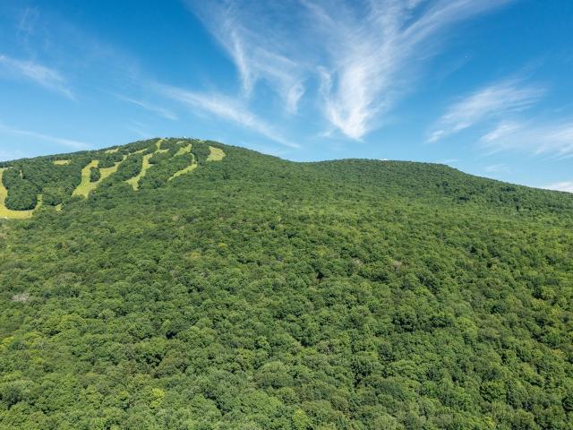 Property for sale in Bennington, Vermont
