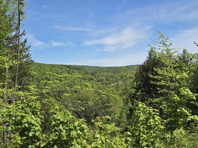 Land for sale in Barnard, Vermont