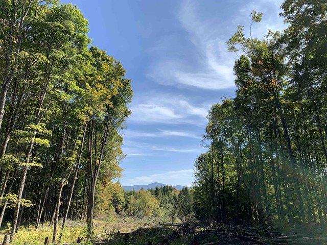 Land for sale in East Montpelier, Vermont