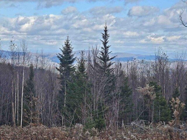 Land for sale in Stratton, Vermont