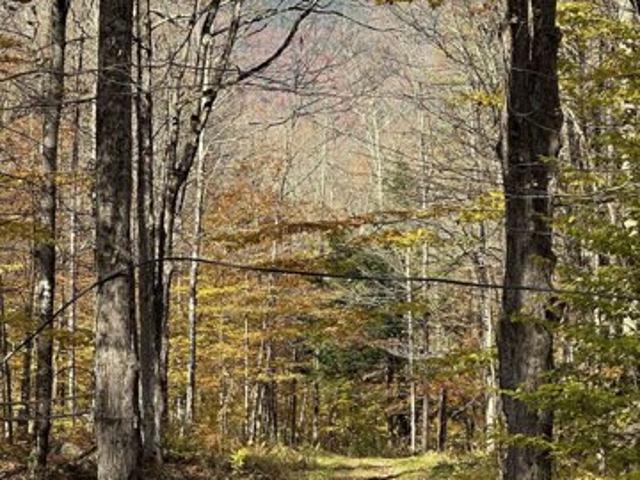 Land for sale in Vermont