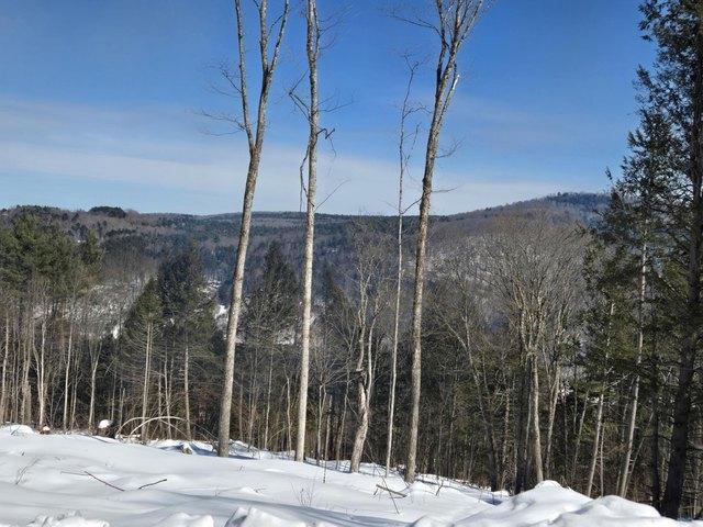 Land for sale in Barnard, Vermont