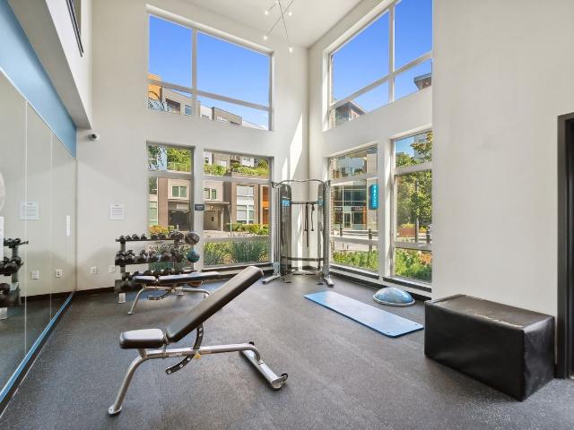 Apartment for rent in Overlake, Bellevue