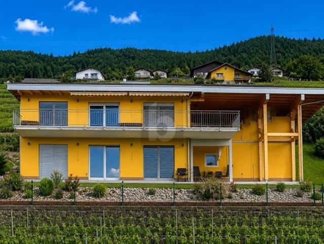 Einfamilienhaus kaufen in Les Mayens-de-Sion, Wallis