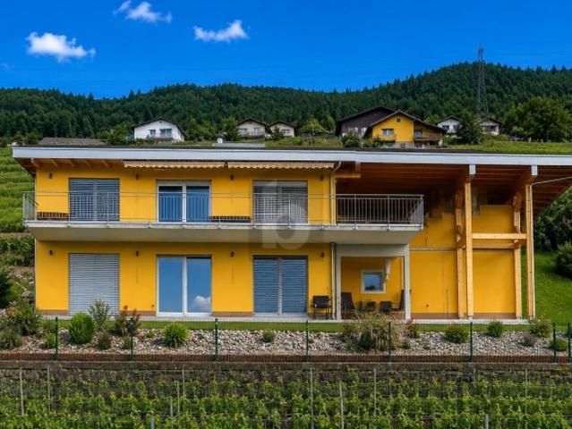 Einfamilienhaus kaufen in Les Mayens-de-Sion, Wallis