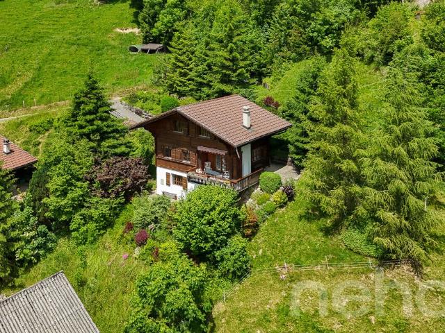 Haus kaufen in Jaun, Freiburg