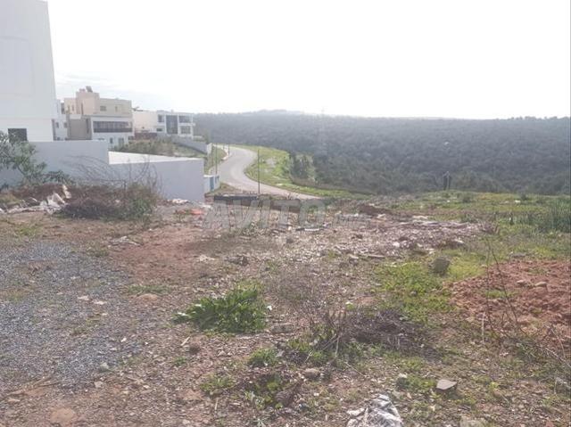 Propriété vente à Tamesna