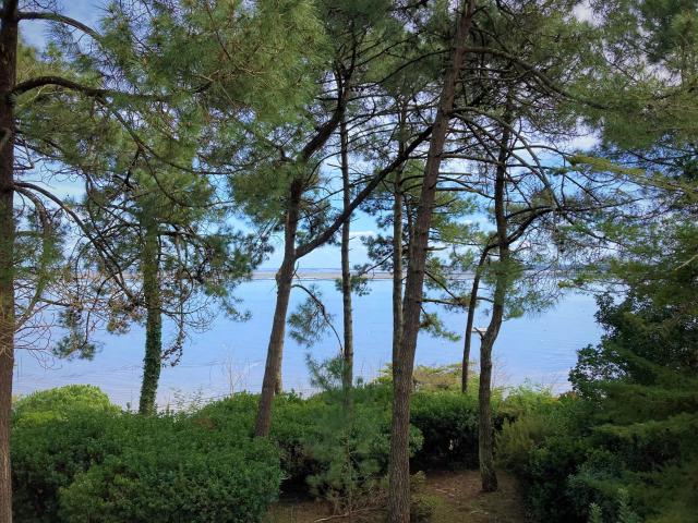 Maison vente à Arcachon, Lège-cap-ferret
