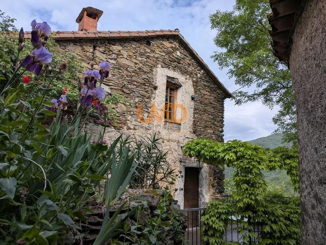 Maison vente à Le Vigan, Les Plantiers