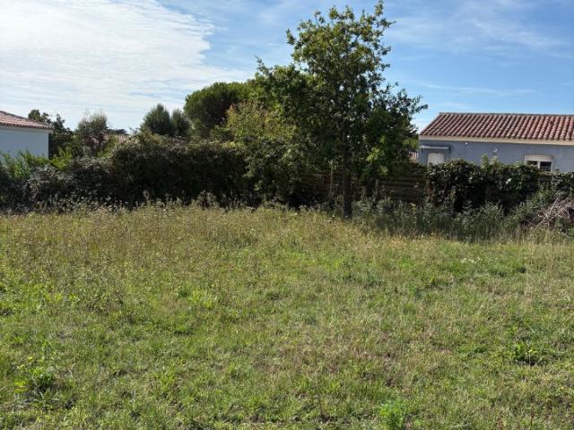 Terrain vente à Vue, Loire-Atlantique