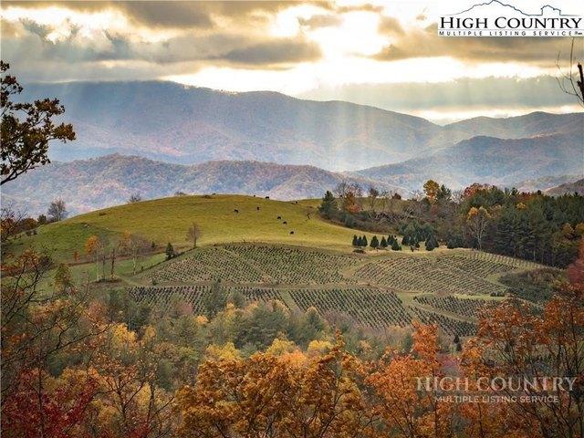 Land for sale in Avery, North Carolina