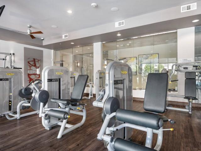 Apartment for rent in Dallas, Texas