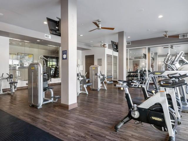 Apartment for rent in Dallas, Texas
