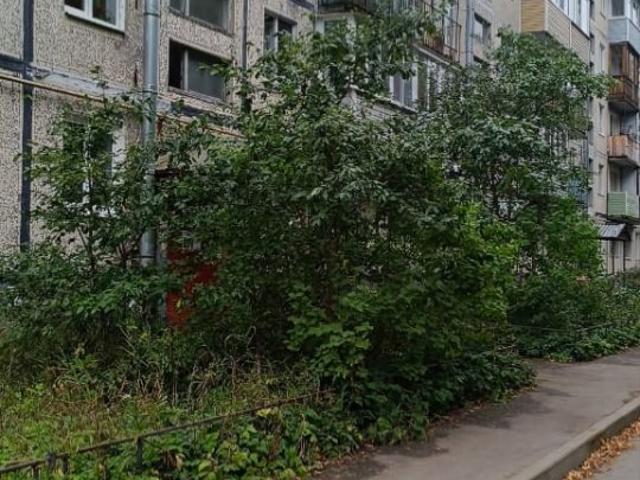 Квартира продажа в Вырица, Ленинградская область