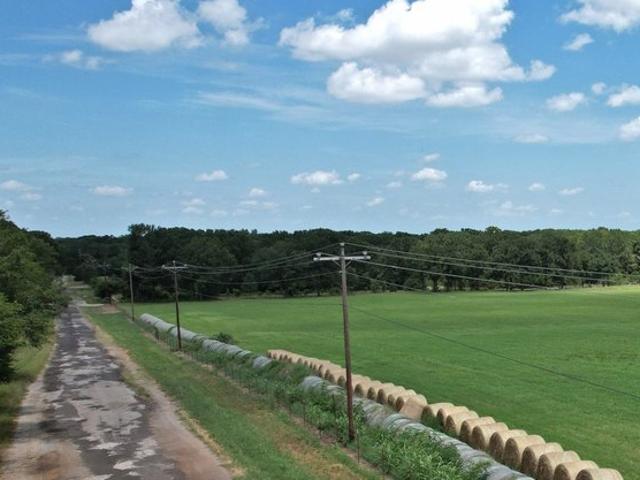 Land for sale in Wills Point, Texas