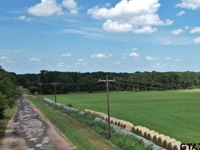 Land for sale in Wills Point, Texas