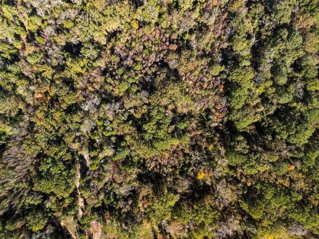Land for sale in Chandler, Henderson County