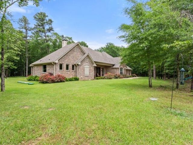 House for sale in Ben Wheeler, Texas