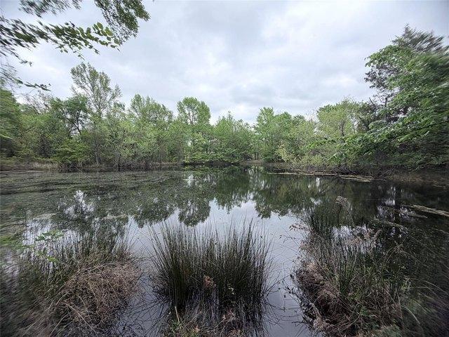 Land for sale in Edgewood, Texas
