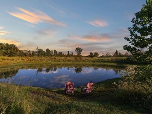 House for sale in Ben Wheeler, Texas