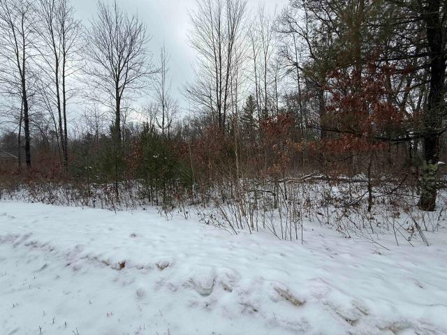 Land for sale in Wisconsin