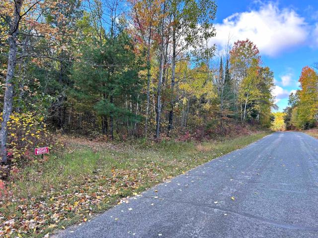 Land for sale in Town of Dunbar, Marinette County