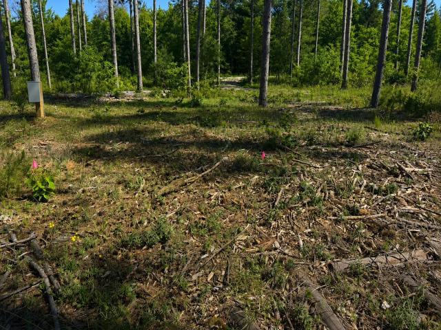 Land for sale in Wisconsin