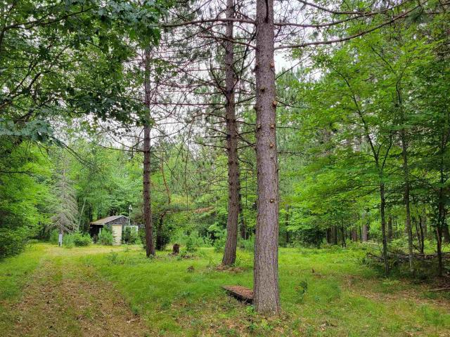 Land for sale in Wisconsin