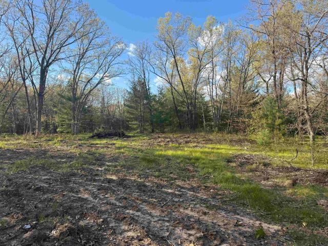 Land for sale in Juneau, Wisconsin