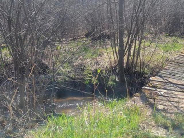 Land for sale in Taylor, Wisconsin