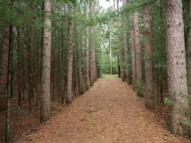 Land for sale in Wisconsin Dells, Wisconsin