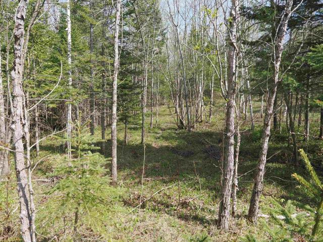 Land for sale in Michigan
