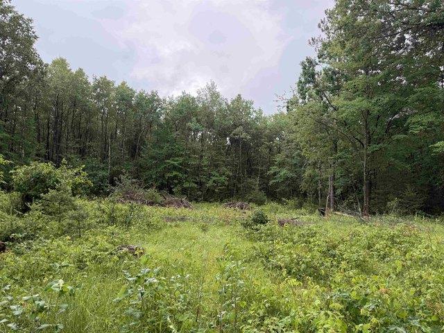 Land for sale in Keshena, Wisconsin